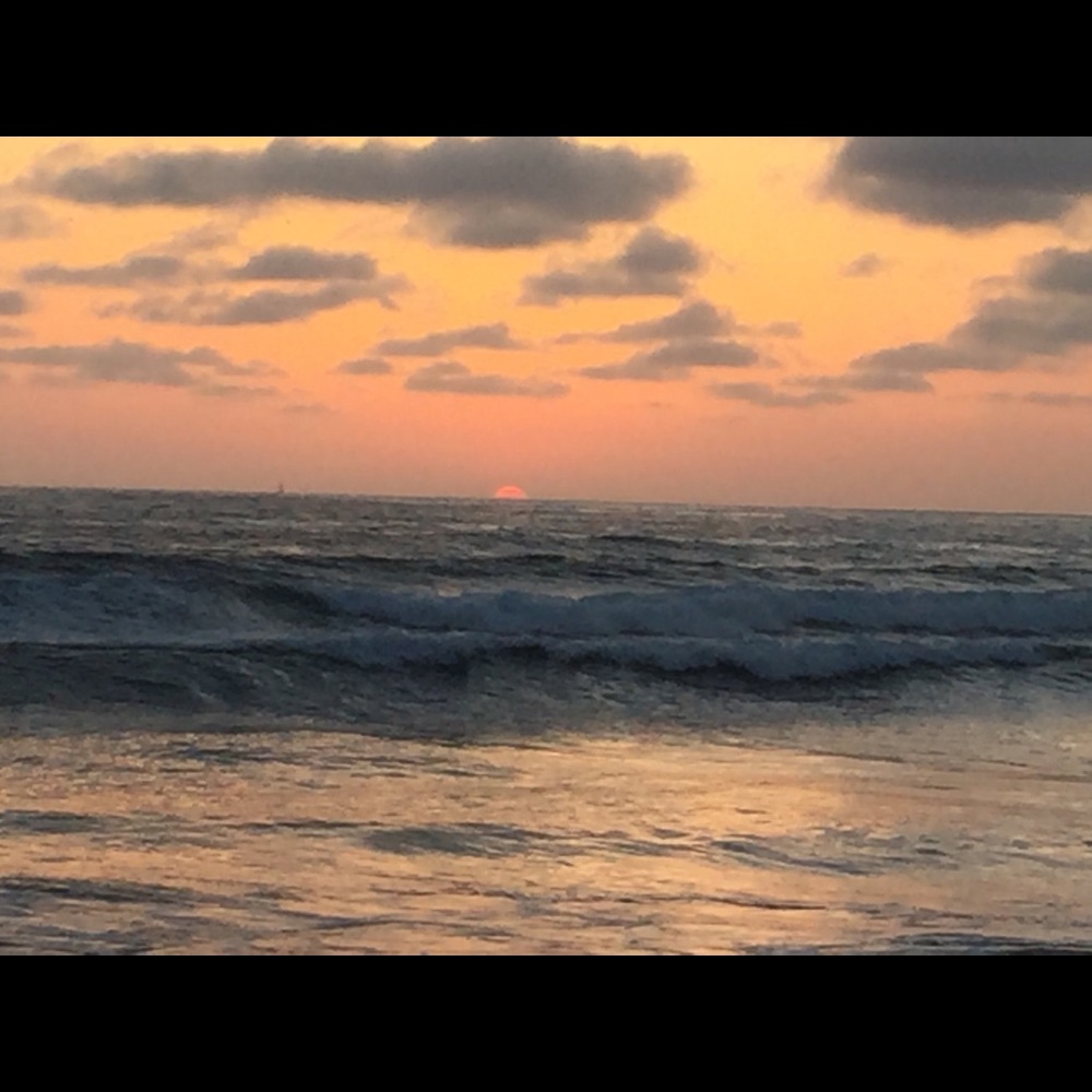 Meet your Posher, Carrie